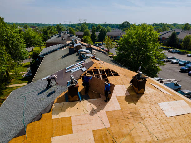Trusted Storm Damage Roof Repair service in Henderson, NC - Brentwood Metal Roofing
